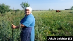 A 62 éves Tetyána a mezőn az egyik életben maradt tehénnel