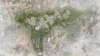 16x9 Image
