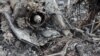 Imagini publicate de presa transnistreană pe 17 martie 2024, afirmând că o dronă de tip kamikaze ar fi lovit un aerodrom în apropiere de Tiraspol. 