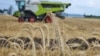 Harvest grain wheat combine