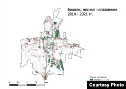 Бул картада 2014-2021-жылдардагы Бишкектеги жашыл аймак көрсөтүлгөн. Жашыл түс менен бак-дарактар, кызыл түс менен кыйылган бак-дарактар, ал эми көк түс менен жаңы тигилген бак-дарактар көрсөтүлгөн.