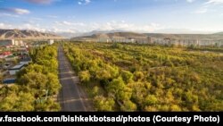 Ботаникалык бактын Ахунбаев көчөсүндөгү бөлүгү реконструкцияга чейин. Архив сүрөт.