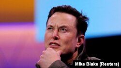Elon Musk, 13. juni 2019. 