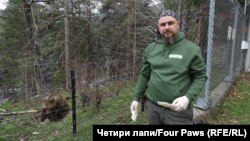 Димитър Иванов, управител на Парка за мечки в Белица от 2008 г.