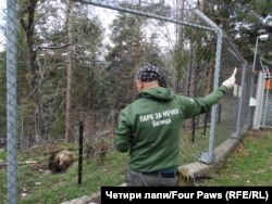 Димитър Иванов
