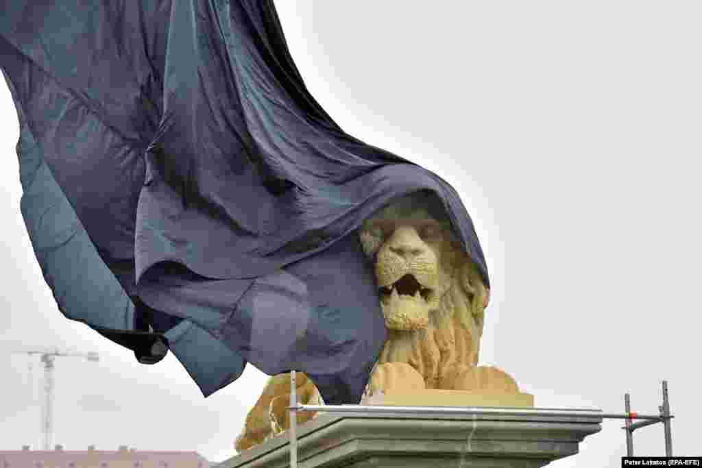 Statuia unui leu realizat din piese Lego a fost inaugurată la o intrare pe emblematicul Pod cu Lanțuri care traversează Dunărea între istoricele Buda și Pesta, în Budapesta, pe 27 octombrie. Statuia leului lego cântărește aproximativ 3 tone și a fost realizată în 28 de zile, din 850.000 de de piese lego.
