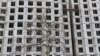 Дар заминларзаи Алмато 19 бино зарар дидааст