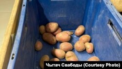 Бульба ў беларускай краме, ілюстрацыйнае фота