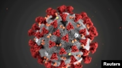 Structura coronavirus