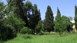 د خوست میلمه کوټ ته اوس خلک ولې نه ورځي؟