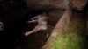16x9 Image