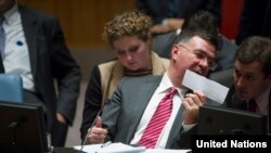 Înainte să fie viceministru de externe, Alexandr Pankin a fost vicepreședintele delegației Rusiei la ONU, fiind activ în explicarea argumentelor Moscovei pentru anexarea Crimeii în 2014. 