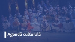 Cazul istoricului rus Iuri Dmitriev (Societatea memorial)