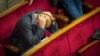 Депутати говорять про кризу парламентської етики