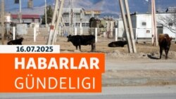 HG: Maryda hor düşen mallar bazara çykarylýar, ýangyç gytçylygy çekirtge belasyna 'urna boldy'