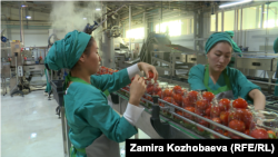 Кыргызстандагы ишканалардын бири.