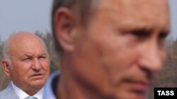 Володимир Путін та Юрій Лужков