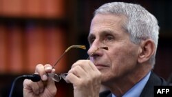 Dr. Anthony Fauci, drejtor i Institutit Kombëtar të Alergjisë dhe Sëmundjeve Infektive në SHBA. 