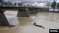 Архівна фотографія. Ужгород, 30 липня 2008 р.