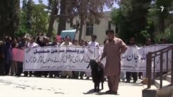 په کوټه کې د ډاکترانو د تښتونې ضد مظاهره شوې