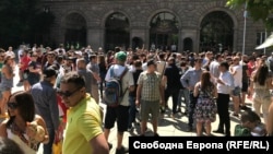 Протестиращите поискага президентът да наложи вето на Закона за шума в околната среда
