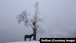 Старый крестьянин и его конь в зимнем лесу (фильм "Кто стучится в дверь мою")