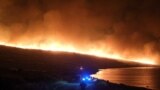 Несколько провинций Турции охвачены лесными пожарами