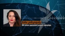 მარი კორკოტაძე სპეცმასწავლებლებისთვის სტატუსის მინიჭებაზე