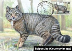 Лясны кот