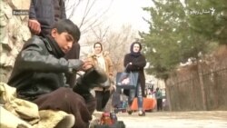 ۱۲ کلن ذبيح الله د ټولې کورنۍ لپاره ډوډۍ ګټي