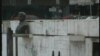 Бистата на народниот херој Ѓоце Стојчевски-Амбарче во Тетово во 2004 година беше скршена и фрлена на земја. Од 2001 година бистите на Тодор Циповски-Мерџан и Ѓоце Стојчевски Амбарче беа вандализирани, кршени им се делови, а пишувани се и графити.