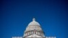 Выборы в США: республиканцы победили во Флориде, демократы - в Висконсине