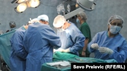 Transplantacija, fotoarhiv