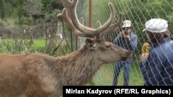 Нарындагы жаратылыш парк