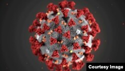 Sars-Cov-2 continuă să producă victime în România.