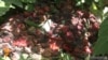 16x9 Image