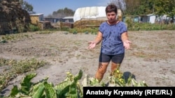 Хрін на городі Марини Старченко також постраждав