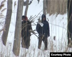 Migranti iz Pakistana i Avganistana na deponiji u Subotici, 8. februar 2012.