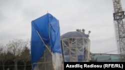 Baobab ağacı