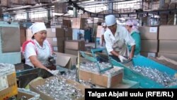 Өткөн айдан тартып Кыргызстанда мамлекеттен каржылануучу дээрлик бардык мекеме-ишканалар жарык берүүчү лампаларды Майлуу-Суу лампа заводунан сатып алууга милдеттендирилген. 