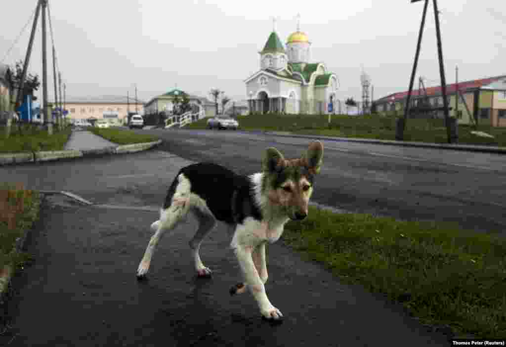 Кунашир &ndash; один из четырех островов, который Токио называет Северной территорией. Он расположен всего в 20 километрах от Японии &nbsp;