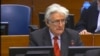 Radovan Karadžić