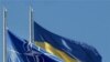 Україна – напарник НАТО у царині колективної безпеки – експерти