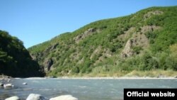 Ни один из защитников природы в Грузии пока не знает о деталях проекта строительства каскада гидроэлектростанций в Турции - информацию они получают из СМИ