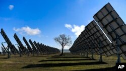Napelemek vesznek körül egy fát Spanyolország Navarra régiójában. A REPowerEU terv végrehajtása felgyorsíthatja az átállást
