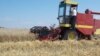 Macedonia -- A field of wheat harvested in Pelagonia, July 11, 2013.