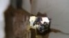 16x9 Image
