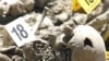 Masovna grobnicqa u selu Budak kod Srebrenice