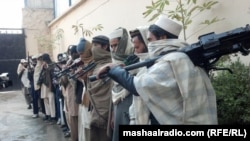 جلال اباد کې وسله وال حکومت ته تسلیم شول