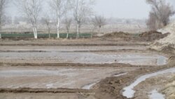 Türkmenistanda ýer gaznasy döredildi